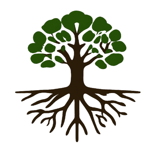 Logo OSE
