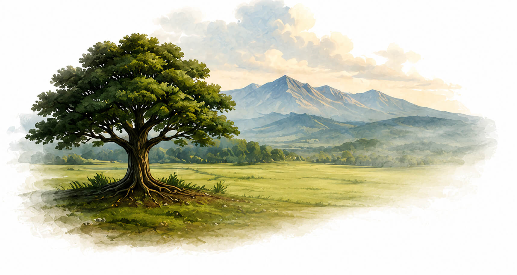 Arbre isolé face aux montagnes, symbole de la communauté mondiale d'ambassadeurs olympiques OSE